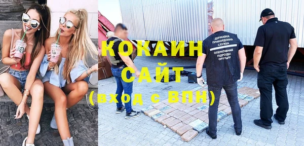 сатива Абдулино