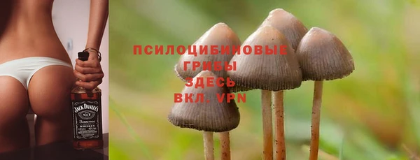 сатива Абдулино