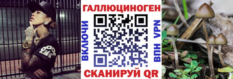закладка  Ярославль  Галлюциногенные грибы GOLDEN TEACHER 