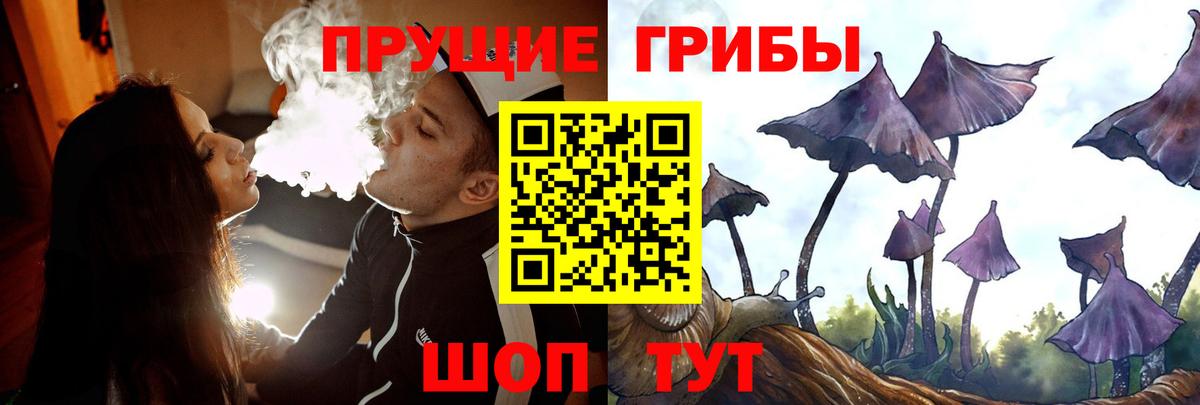 Псилоцибиновые грибы мицелий Ярославль